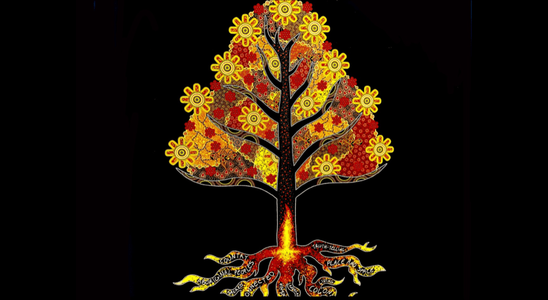 University of Wollongong’s flame tree – what does this mean for Indigenous advancement?