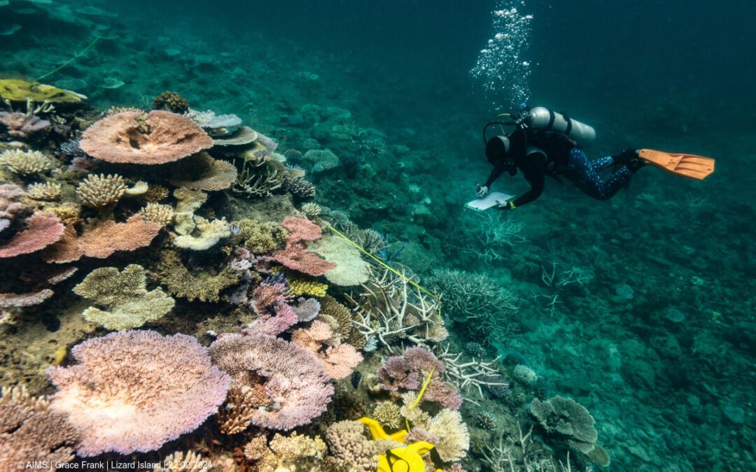 Great Barrier Reef bleaching event worst on record